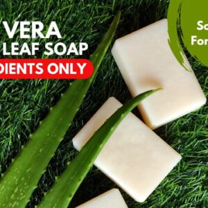 3 Ingredients Aloe vera Whole Leaf Soap