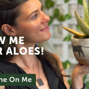 ALOE Collection Show-and-Tell — Ep 198