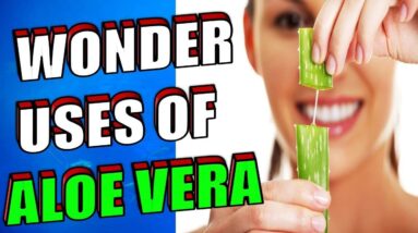 52 Amazing Aloe Vera Health Benefits, Beauty Tips & Lifehacks