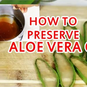 How to Preserve Aloe Vera Oil for Hair Growth, Dandruff and Skin
