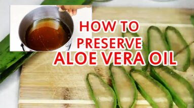 How to Preserve Aloe Vera Oil for Hair Growth, Dandruff and Skin
