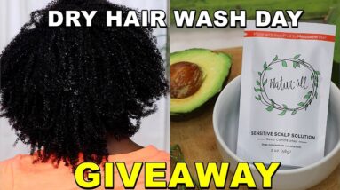 My Wash Day Routine For Dry Natural Hair | NaturAll Club Aloe Avocado Sensitive Scalp Solution