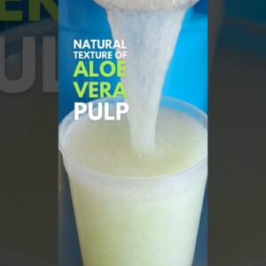 Aloe vera pulp covered with gel